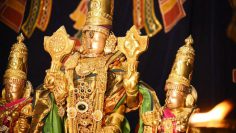 Sri Veeraraghava Perumal Temple