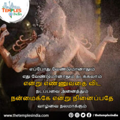 Quotes