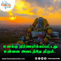 Quotes